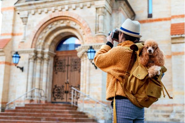 Woman traveler with dog in the backpack making pictures with a camera while traveling